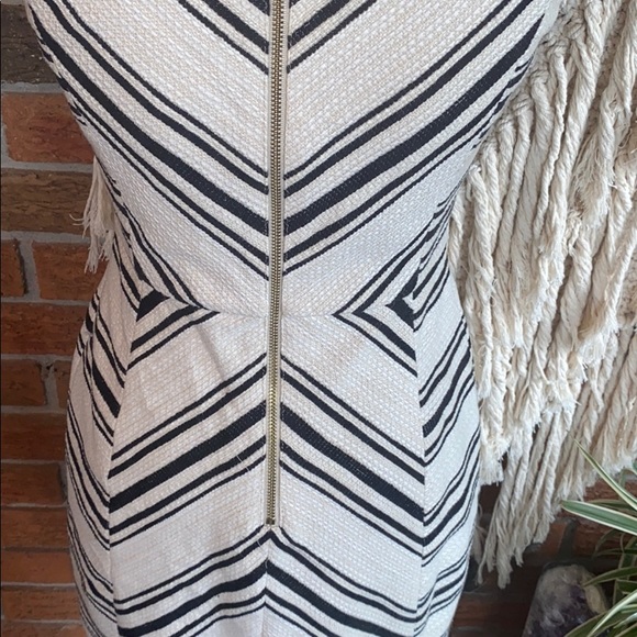 π€ H&M Black & Cream Work Dress - Picture 4 of 7